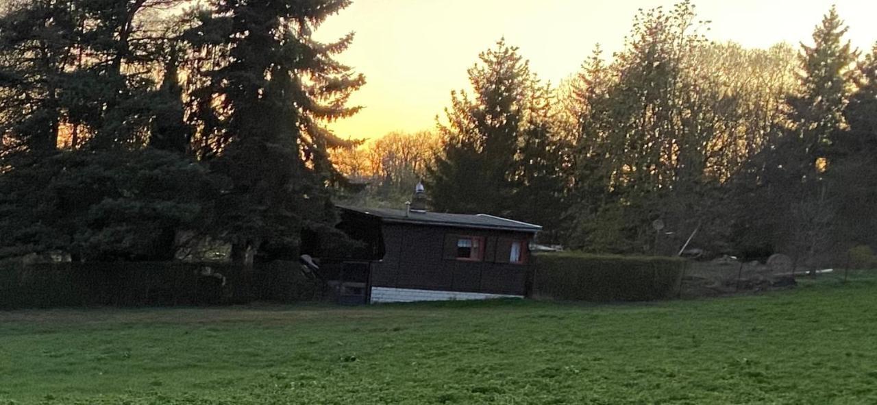 Ferienhaus Zittertal Neustadt Harz Haus I Harztor Exterior foto