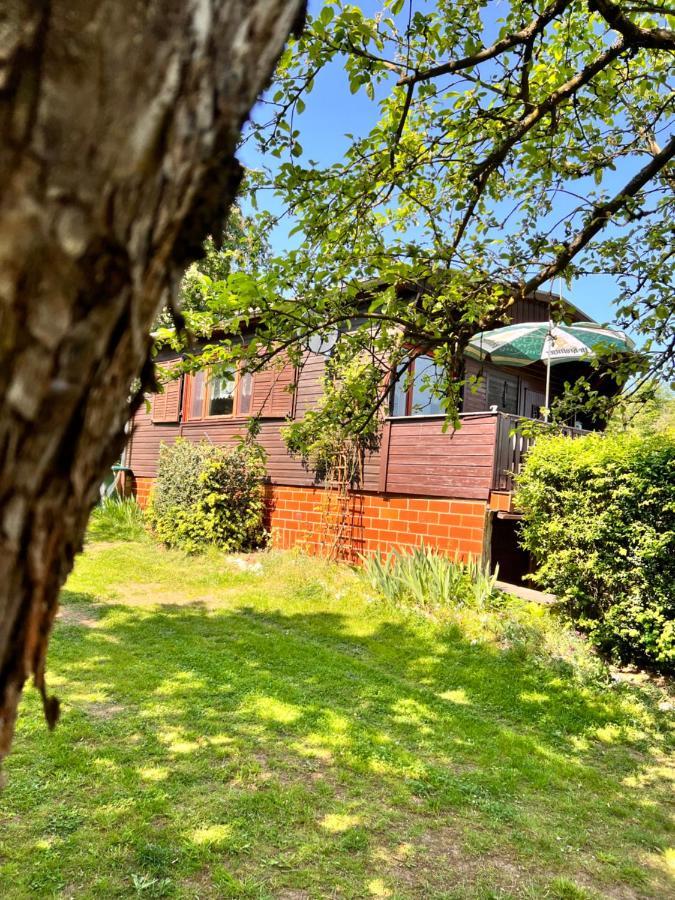 Ferienhaus Zittertal Neustadt Harz Haus I Harztor Exterior foto