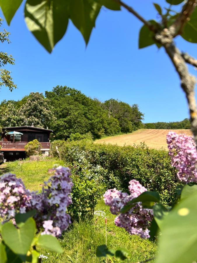 Ferienhaus Zittertal Neustadt Harz Haus I Harztor Exterior foto